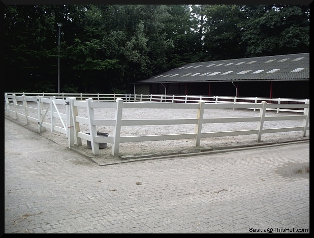 platz1.jpg platz1.jpg