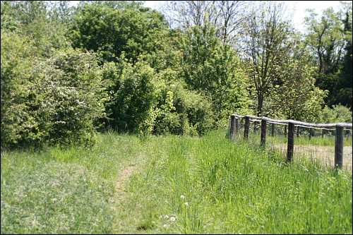 weg2.jpg weg2.jpg